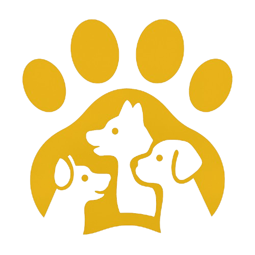 Icono Socialización y Actividades