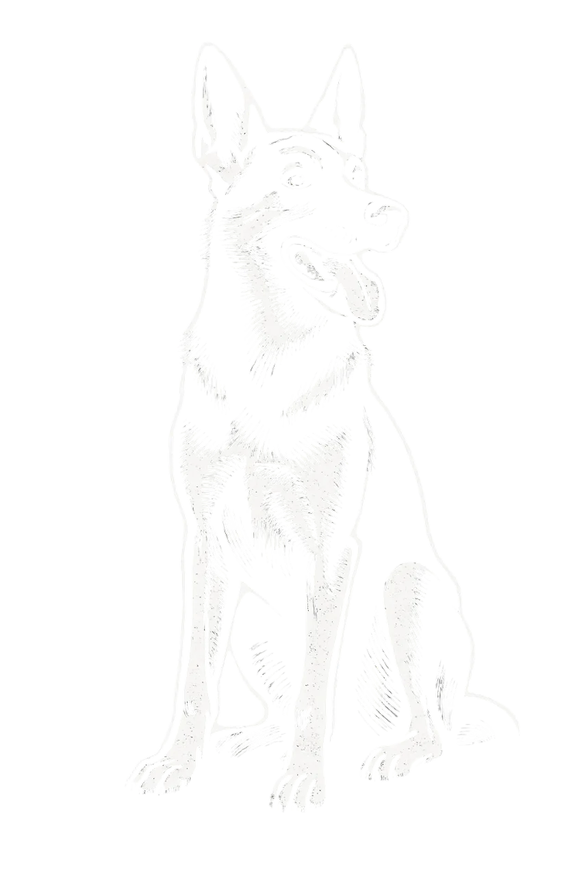 Imagen centro Rock A Dog