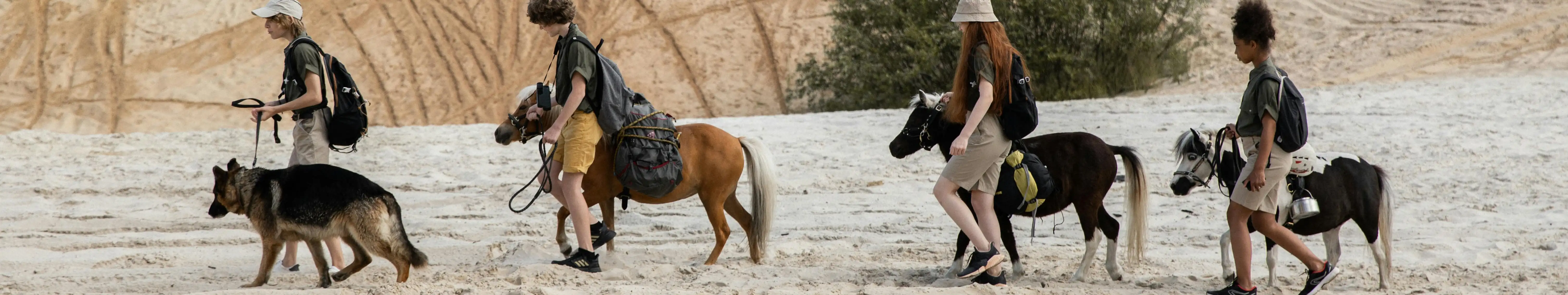 Habilidades y Obediencia